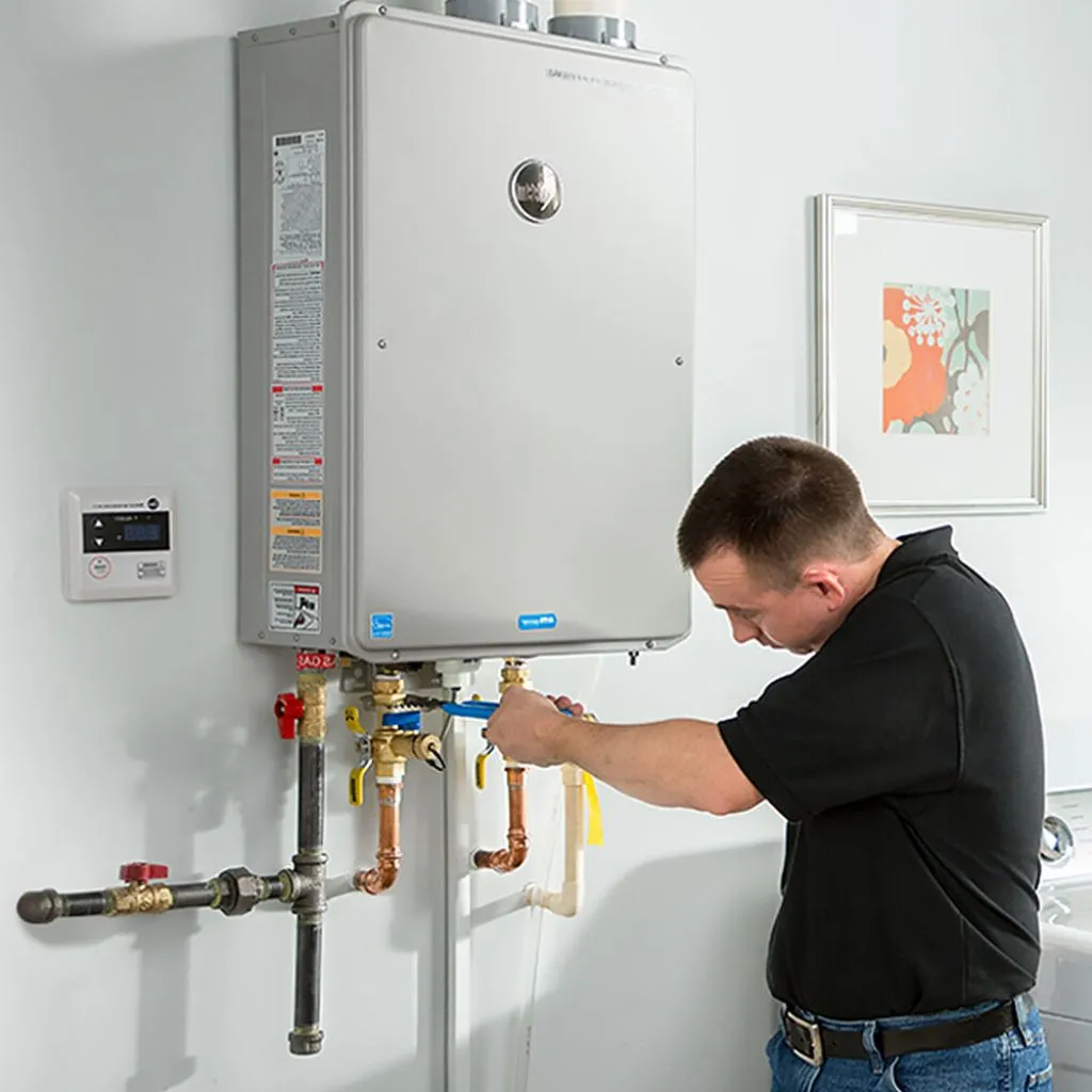 tankless water heater repair in Mayer, MN